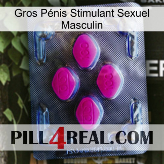 Gros Pénis Stimulant Sexuel Masculin 02